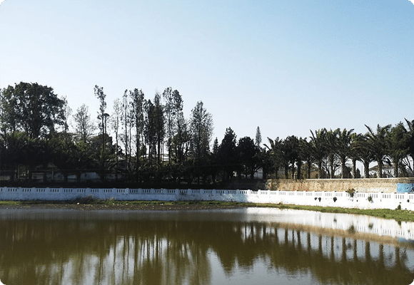 Ornamental-Lake Hotels near Pagoda Point Yercaud