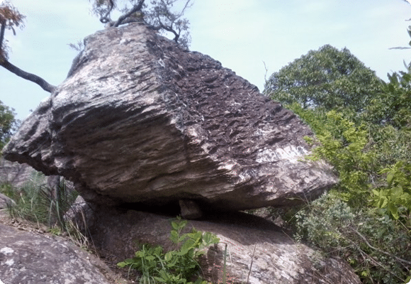 White-Elephant-Tooth Food And Drink Resorts In Yercaud