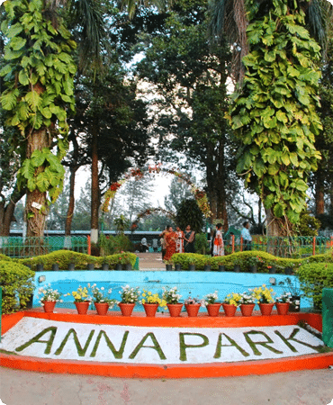 Anna Park