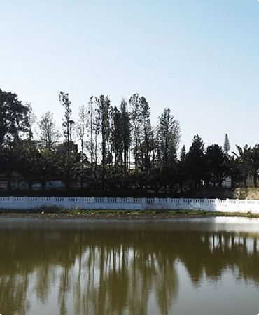 Ornamental Lake
