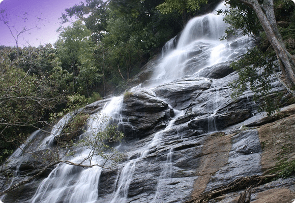 kiliyur-falls Yercaud Hotels